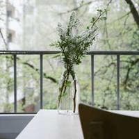 Bombay Chicken background logo